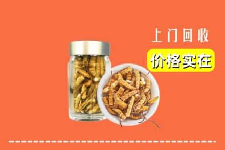 收购资讯:楚雄州回收散虫草
