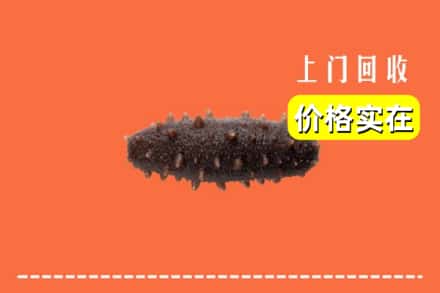 收购资讯:楚雄州回收海参