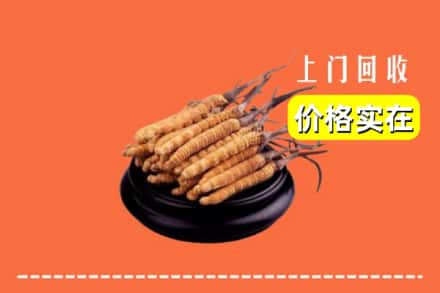楚雄州回收冬虫夏草