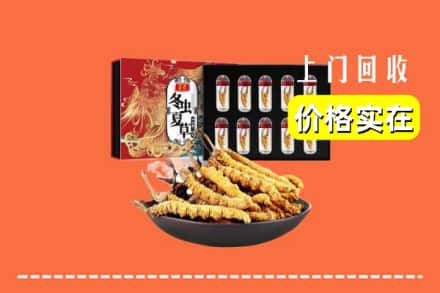 楚雄州回收虫草